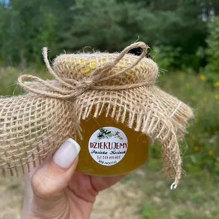 Dom wakacyjny Dom Nad Jeziorem Mazury Pomost Segment 2 *